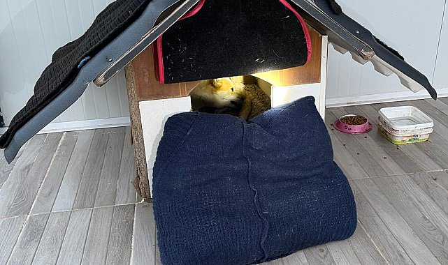 Balıkesir'de sıkıştığı yerde mahsur kalan yavru köpek kurtarıldı