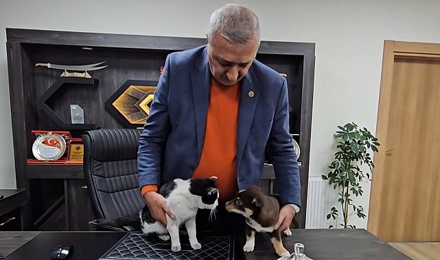 Başkanın makamı Mia ve Fındık'ın yuvası oldu