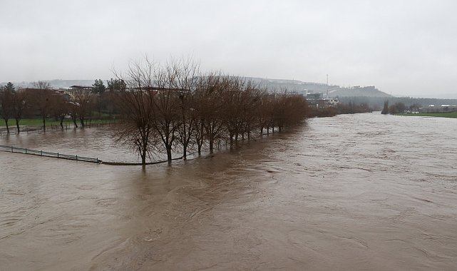 Diyarbakır'da sağanak sonrası dereler taştı, tarım arazilerini su bastı