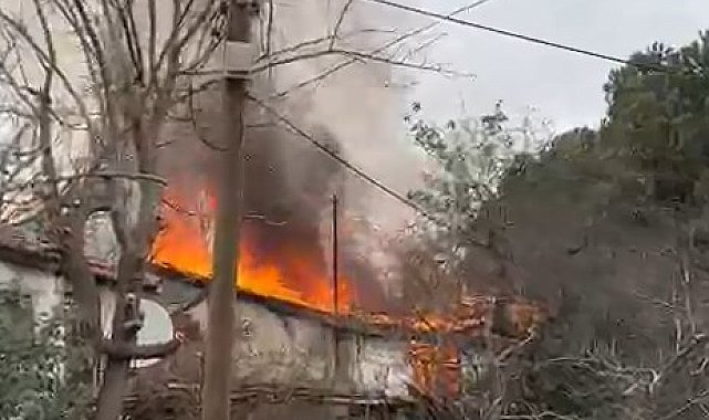 İstanbul - Pendik'te gecekonduda çıkan yangın söndürüldü