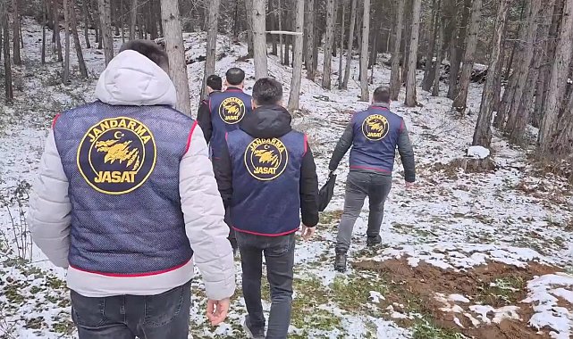 Ormanda bulunan kafatası ve kemik parçaları 2 kadına ait çıktı; 10 yıllık çifte cinayet aydınlatıldı
