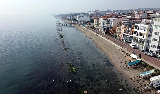 Tekirdağ'da deniz 7 metre çekildi; 'Kral Yolu' ortaya çıktı