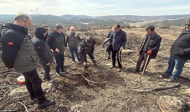 Yangında 10 şehidin verildiği ormanda yeniden ağaçlandırma çalışması başlatıldı