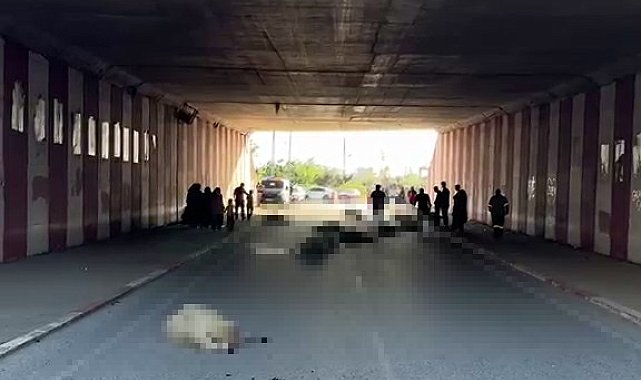 Hatay'da otomobilin çarptığı sürüdeki 17 koyun öldü