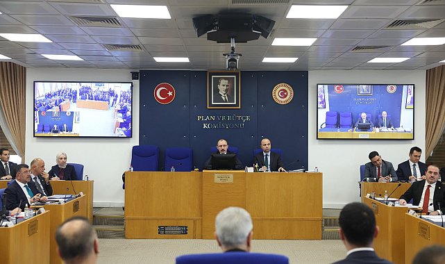 'Varlık Barışı'nı içeren kanun teklifi, TBMM Plan ve Bütçe Komisyonu'nda