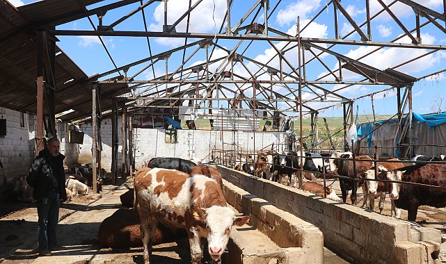 Fırtınada devrilen duvarın altında kalan besici: Sağ çıktığım için şükrediyorum