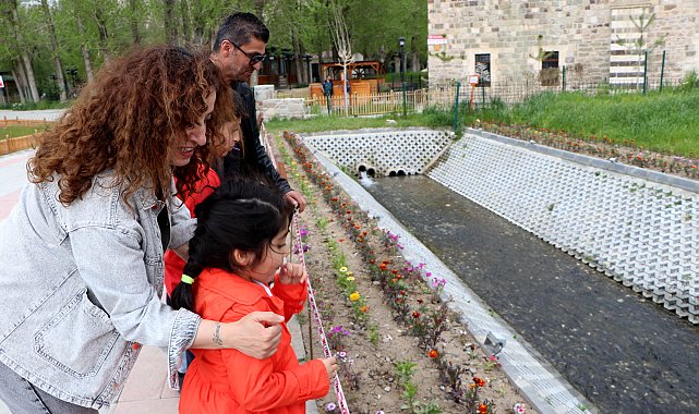 Van'da binlerce inci kefali üreme göçünde tarihle buluştu