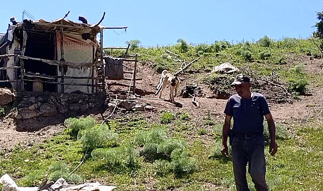 17 yaşından beri yılın 6 ayını yaylada tek başına geçiriyor