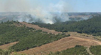 Adana'da anız yangınında alevler ormana sıçradı
