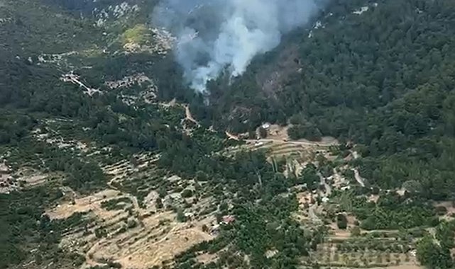 Antalya'da orman yangını havadan ve karadan müdahaleyle kontrol altına alındı