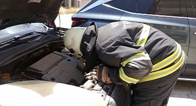 Aracın motoruna sıkışan kedi kurtarıldı