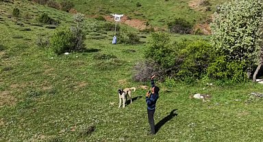 Arazideki çobanlara dronla 'şeker' gönderdiler