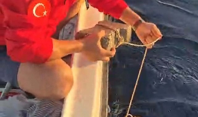 Ayağına parke taşı bağlanmış deniz kaplumbağasını kurtardılar