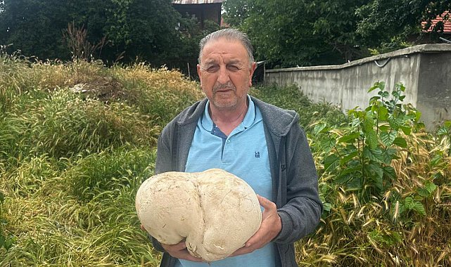 Bahçesinde 3,5 kiloluk mantar buldu