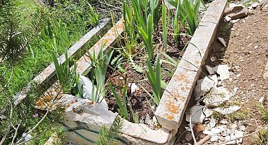 Bolu'da iki mezarın taşları kırılıp, zarar verildi