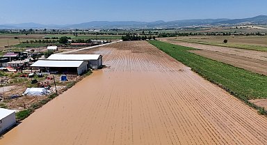 Bursa'da dolu ve sağanak, tarım arazilerini vurdu