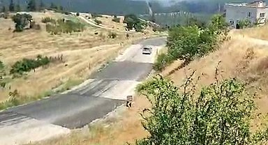 Bursa'da orman yangını