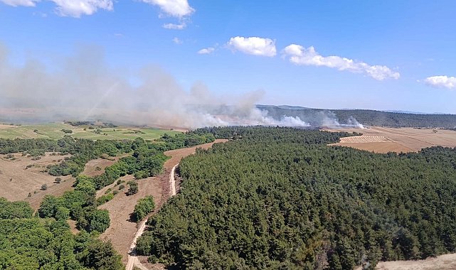 Çanakkale'de orman yangını