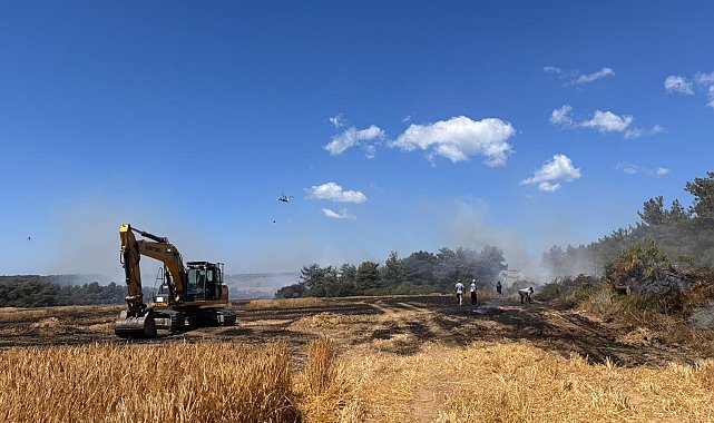 Çanakkale'de orman yangını