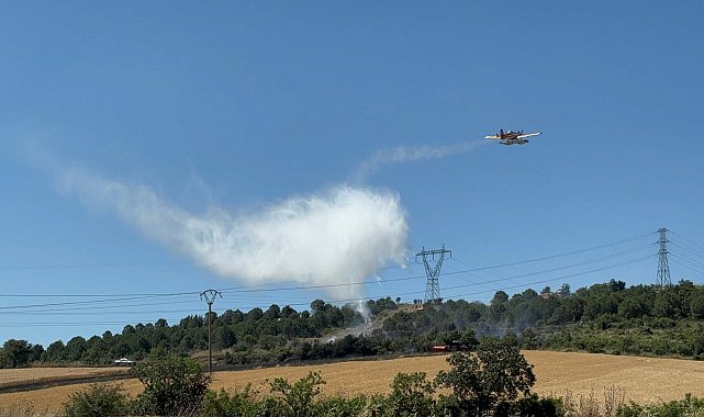 Çanakkale'de tarım arazisinde yangın