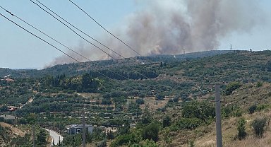 Çeşme'de çöplükte çıkan yangın, makilik alana sıçradı