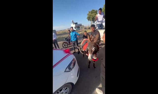Çocuk çobanlar, eşekle düğün konvoyunun önünü kesip damattan bahşiş aldı