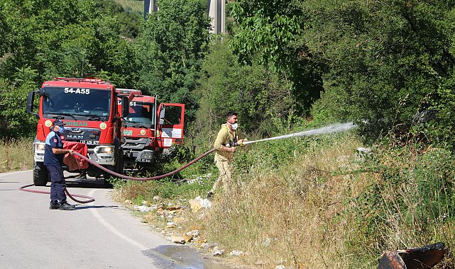 Çöplük alanda çıkan yangın ağaçlara sıçradı