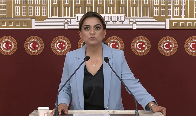 DEM Parti'li Koçyiğit: Barışın hukuksal bir güvenceye ihtiyacı var