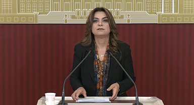 DEM Parti'li Koçyiğit: Çerçeve yasanın bir an önce TBMM'ye gelmesi gerekiyor