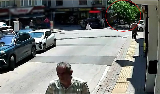 Devrilen tarihi çınar araca zarar verdi; yol trafiğe kapandı