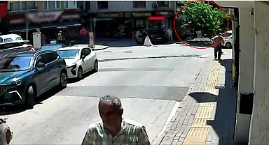 Devrilen tarihi çınar araca zarar verdi; yol trafiğe kapandı