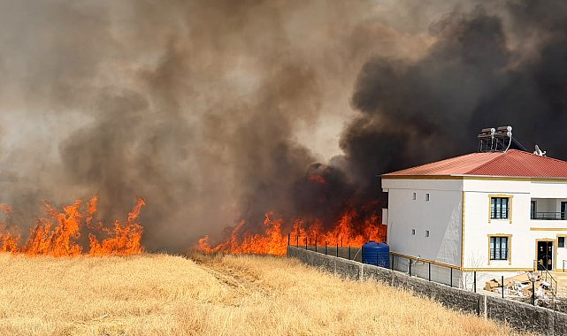 Diyarbakır'da çıkan anız yangını söndürüldü