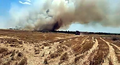 Edirne'de yangın; 200 dekar ekili alan zarar gördü