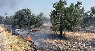 Edremit'te çöplükte çıkan yangın, tarım arazilerine sıçradı
