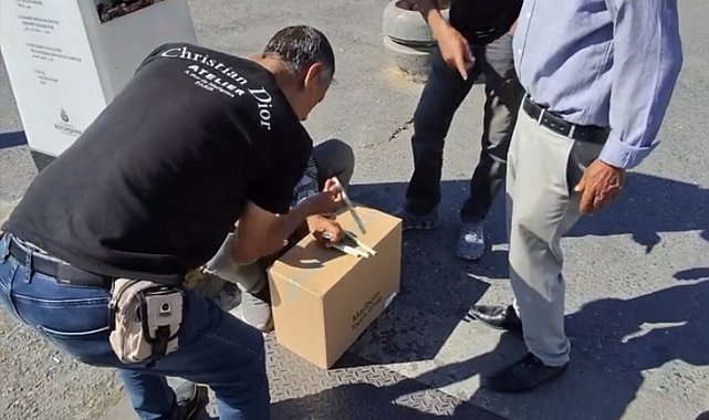 Galata Köprüsü'nde 'Bul karayı al parayı' yöntemiyle kumar oynattı; 'Money' diyerek euro istedi