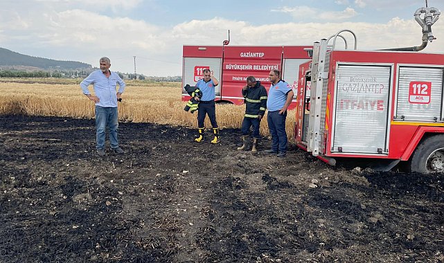 Gaziantep'te 5 dönümlük buğday tarlası yandı