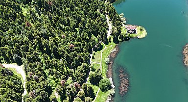 Gölcük'te çam ormanları dronla görüntülendi