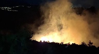 Hatay'da orman yangını, büyümeden söndürüldü
