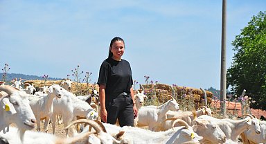 Hayali olan keçi peyniri markası için şehir hayatını bırakıp köyüne döndü