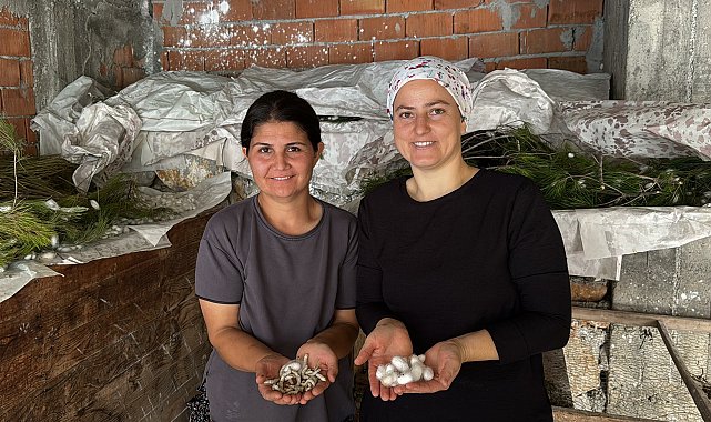 İpek böcekçiliği yaparak aile bütçelerine katkı sağlıyorlar