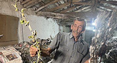 İpek böcekçiliğinin 3'üncü kuşak temsilcisi