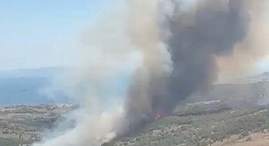 İzmir'de maki yangını