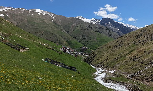 Kaçkarlar'da zirveler bembeyaz, yaylalar rengarenk