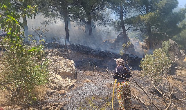 Kahramanmaraş'ta orman yangını
