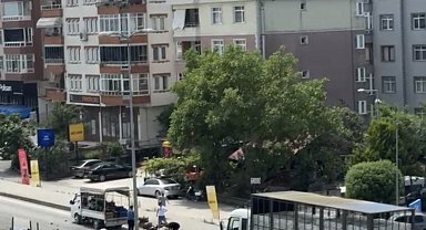 Kamyonetin kasasından yola saçılan meyve ve sebzeler, diğer sürücülerin yardımıyla toplandı
