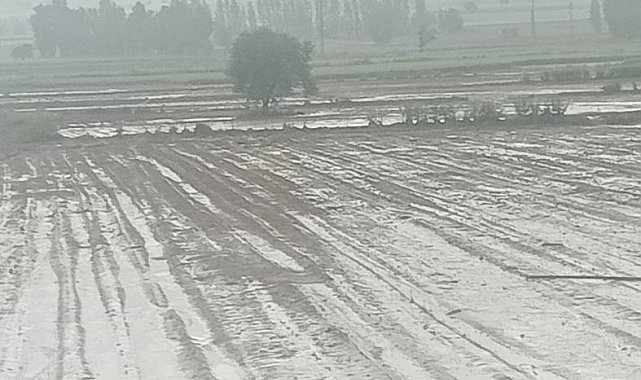 Kayseri'de sağanak ve dolu ekili alanlara zarar verdi