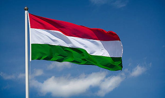Macaristan'da otoyolda iki ayrı kaza: 8 yabancı uyruklu kişi hayatını kaybetti