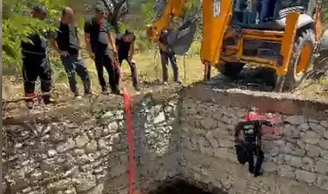 Malatya'da sulama havuzuna düşen inek, halatla çıkarılıp kurtarıldı