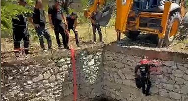 Malatya'da sulama havuzuna düşen inek, halatla çıkarılıp kurtarıldı