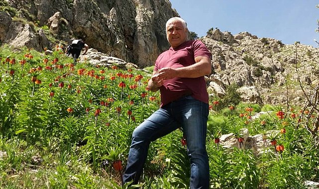Mantar toplamak için çıktığı dağda ölü bulundu